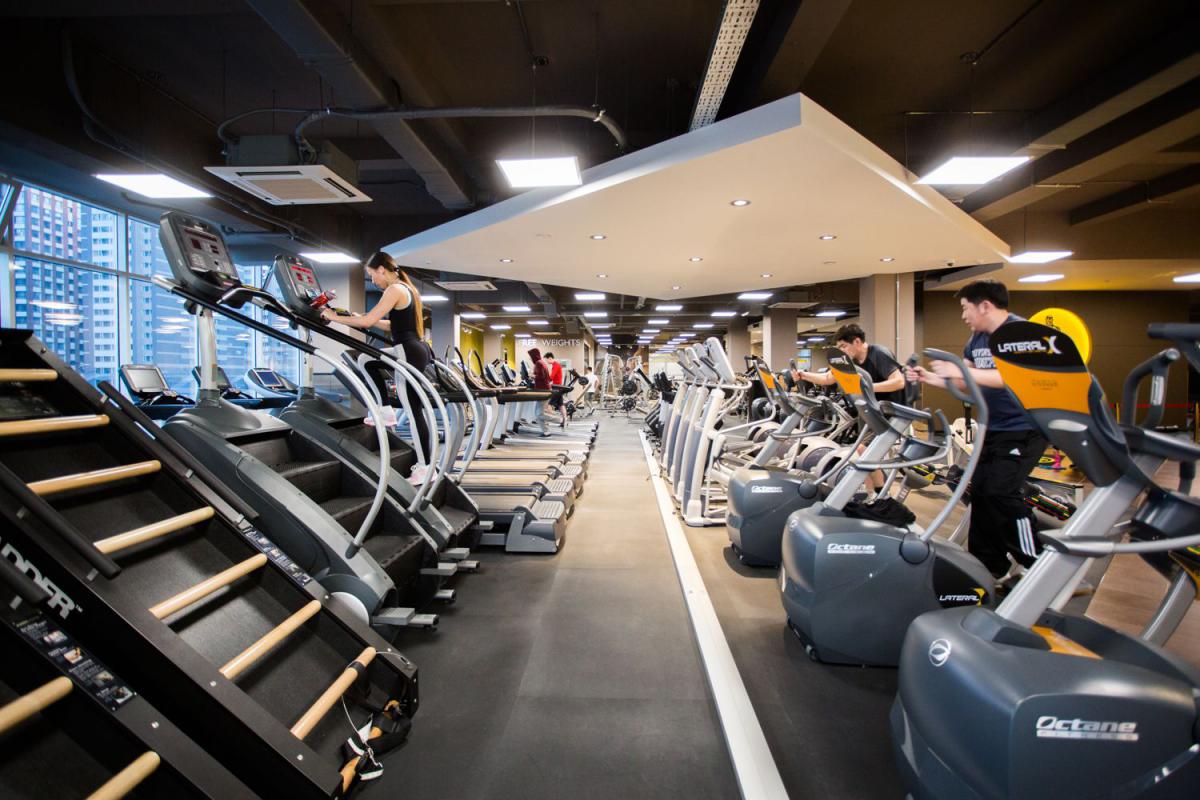 Магадлан итгэмжлэгдсэн Gold`s Gym Ulaanbaatar фитнесст урьж байна.