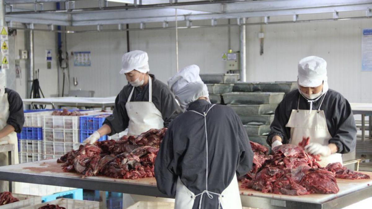 Ихэр Шарангад компаний үйл ажиллагаа жигдэрч байна.